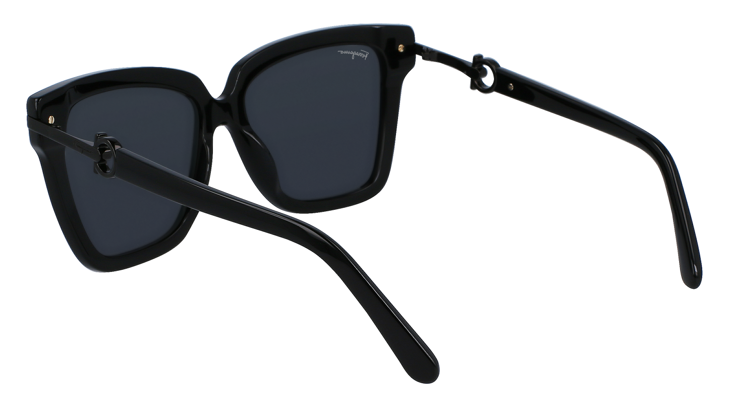 FERRAGAMO Sunglasses SF1085S 1 57