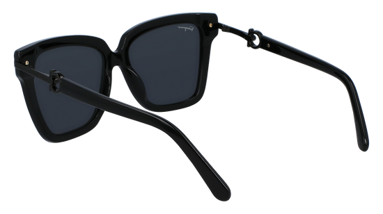 FERRAGAMO Sunglasses SF1085S 1 57