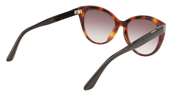 CALVIN KLEIN Sunglasses CK22520S 236 57