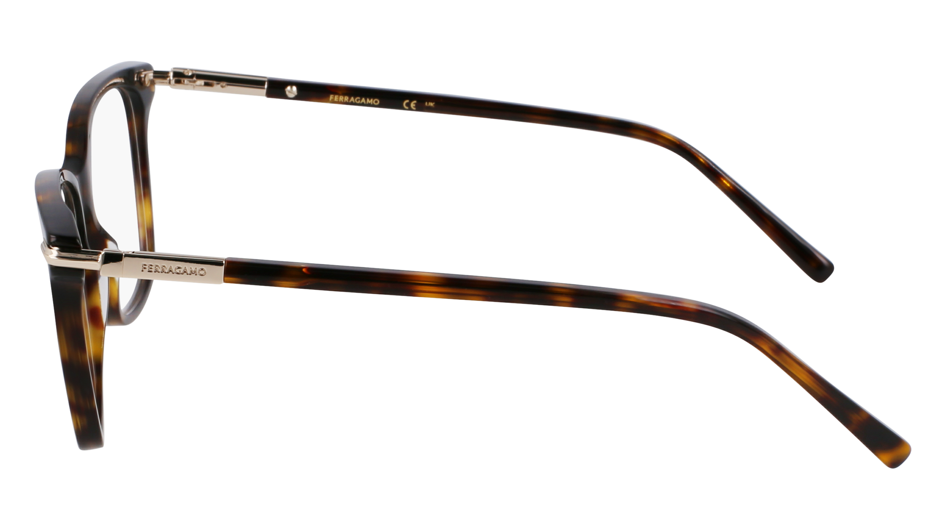 FERRAGAMO Eyeglasses SF3013 242 55