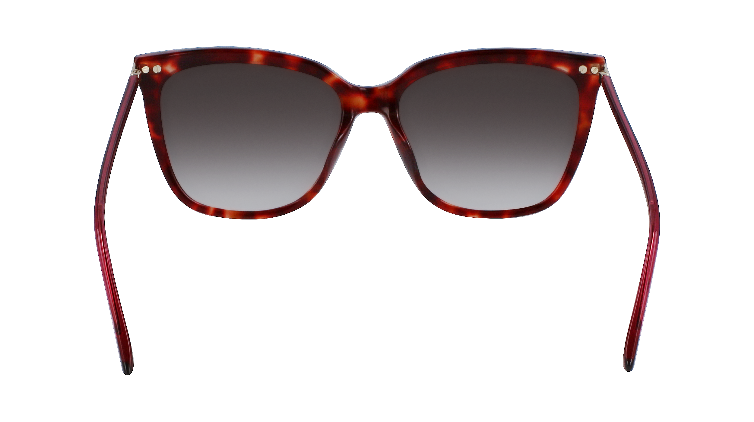 CALVIN KLEIN Sunglasses CK22532S 609 56