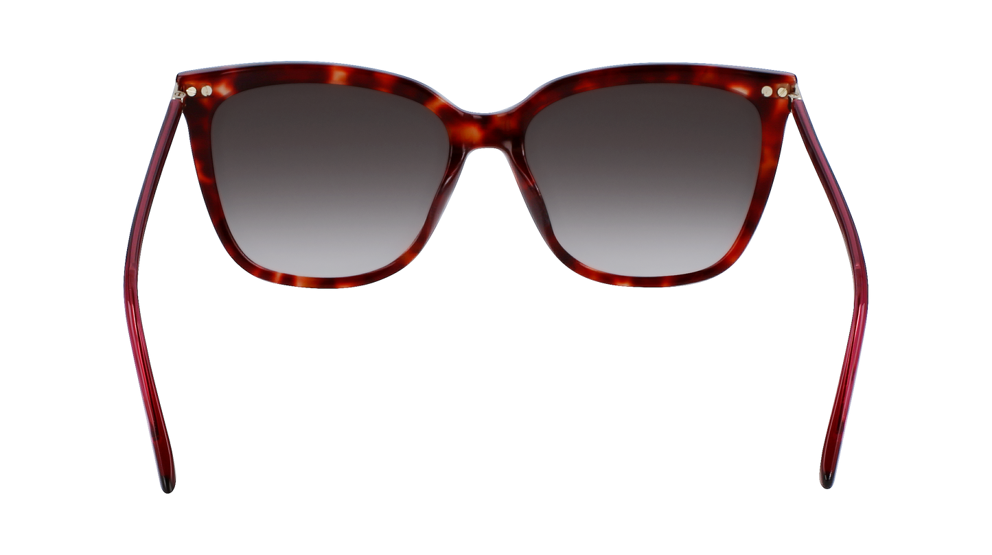 CALVIN KLEIN Sunglasses CK22532S 609 56