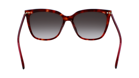 CALVIN KLEIN Sunglasses CK22532S 609 56