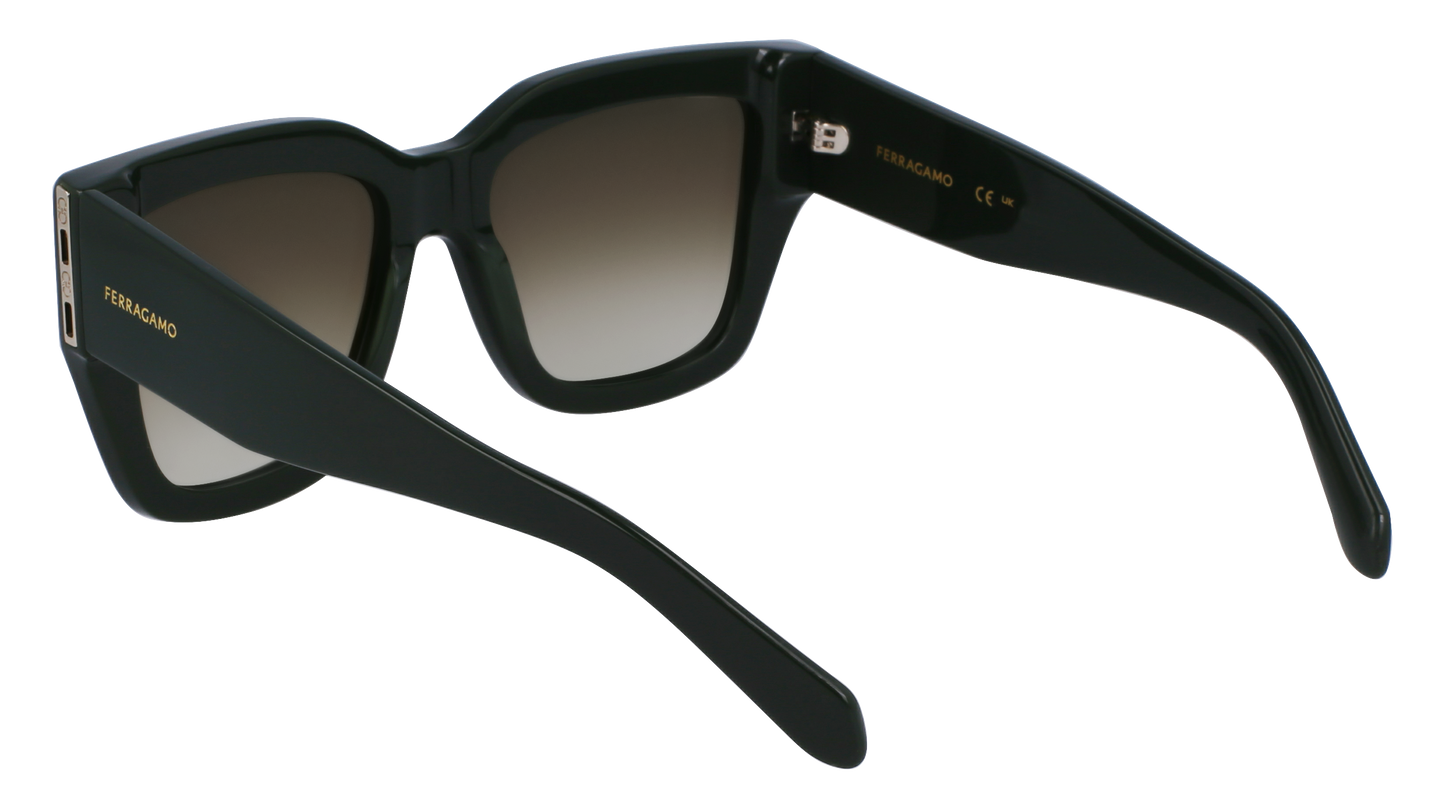 FERRAGAMO Sunglasses SF1104S 302 55