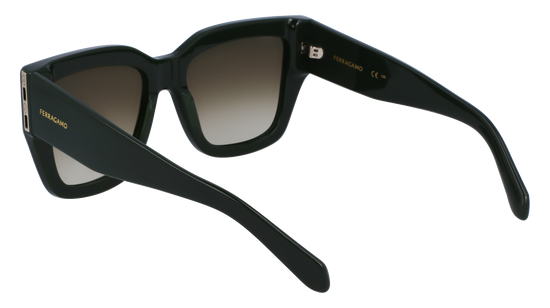 FERRAGAMO Sunglasses SF1104S 302 55