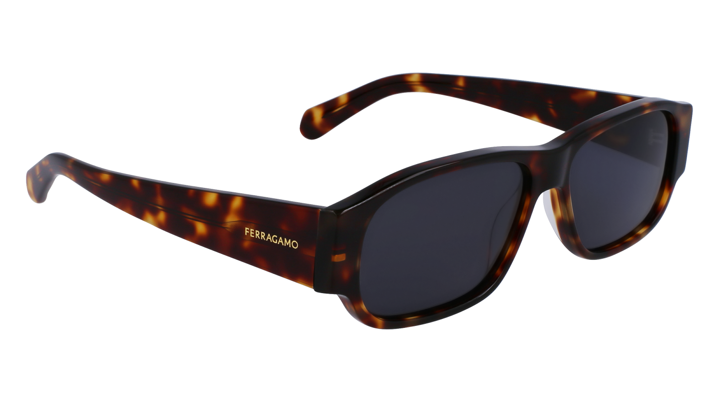 FERRAGAMO Sunglasses SF1109S 242 57