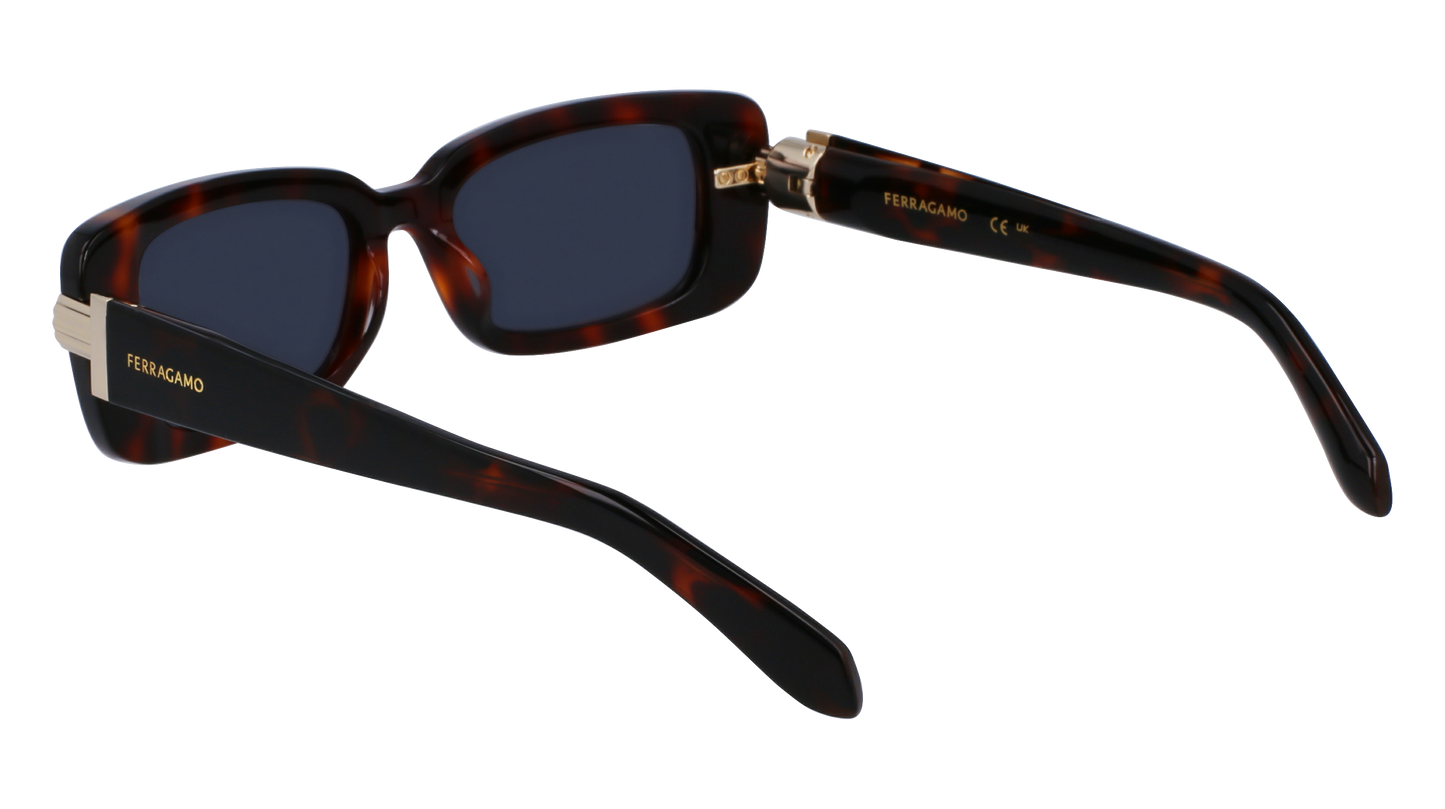 FERRAGAMO Sunglasses SF1105S 240 52