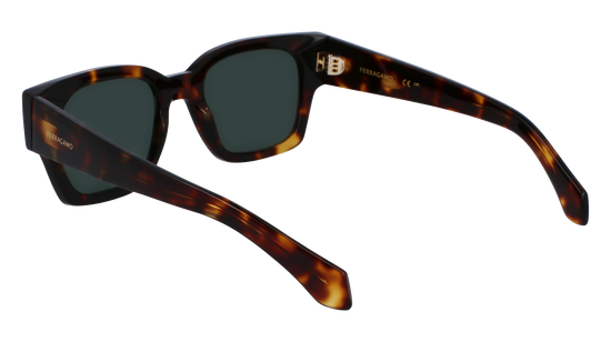 FERRAGAMO Sunglasses SF2010S 242 52