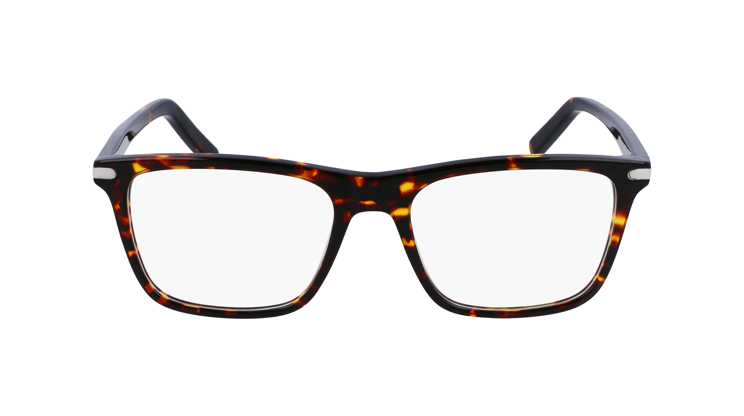 FERRAGAMO Eyeglasses SF2959 219 55