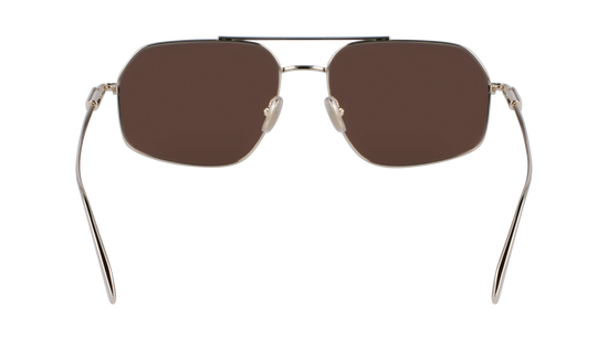 FERRAGAMO Sunglasses SF313S 745 58