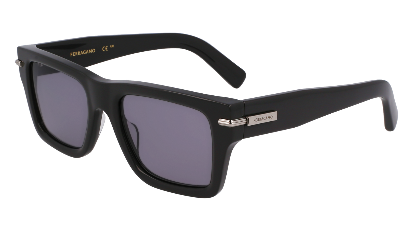 FERRAGAMO Sunglasses SF2033S 19 53