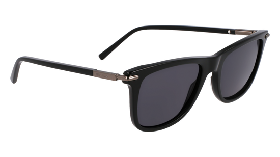 FERRAGAMO Sunglasses SF2028S 1 54