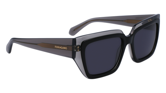 FERRAGAMO Sunglasses SF2002S 24 55