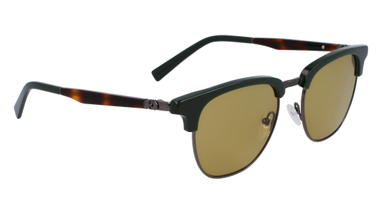 FERRAGAMO Sunglasses SF307S 302 53