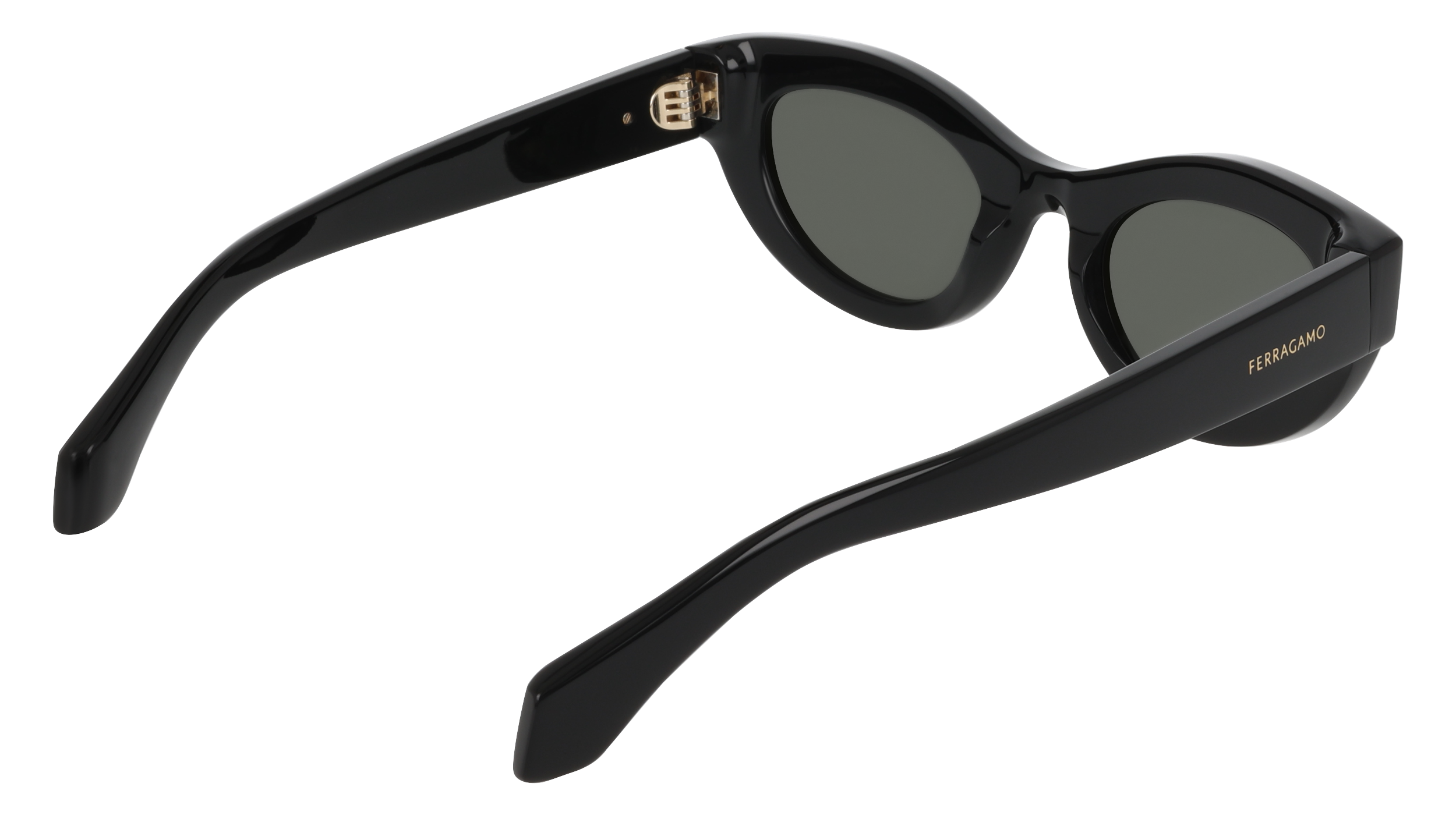 Ferragamo SF2062SE 1