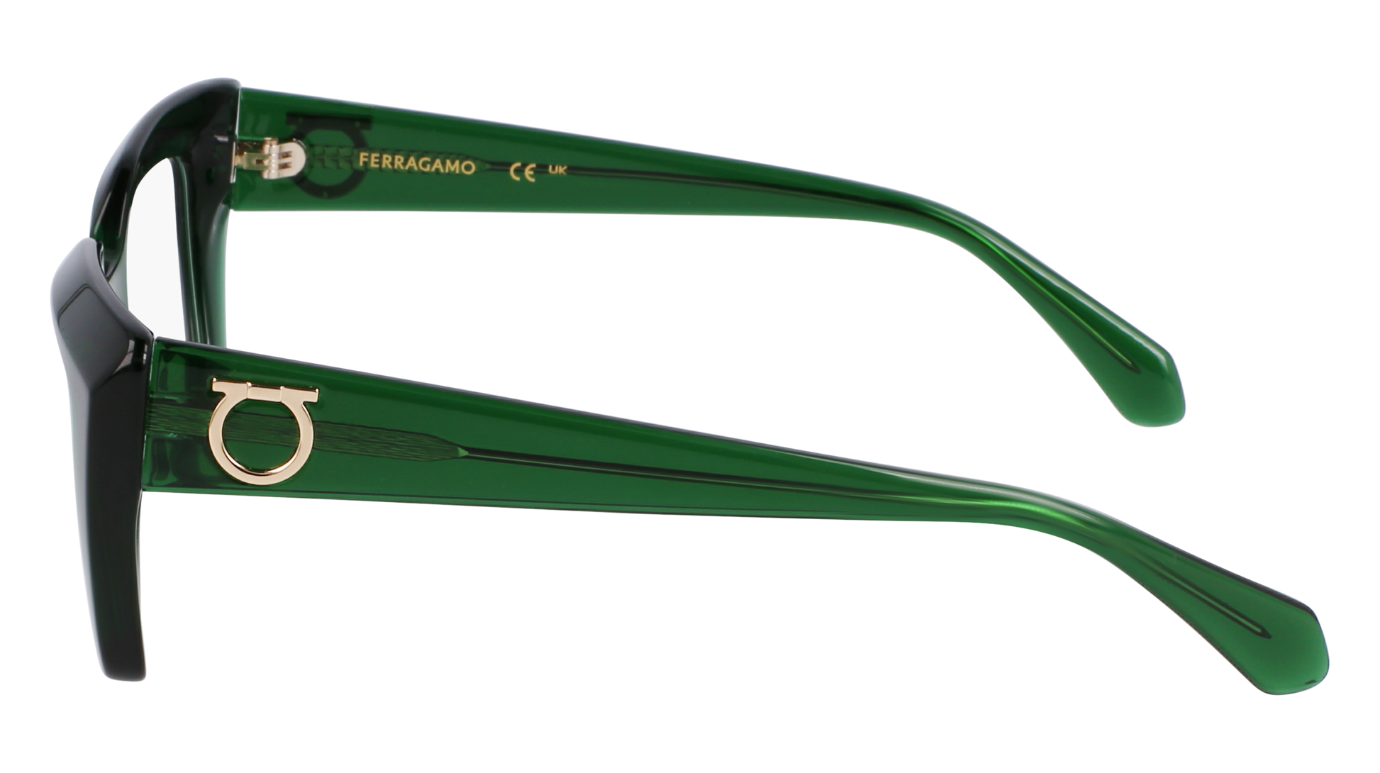 FERRAGAMO Eyeglasses SF3008 317 50