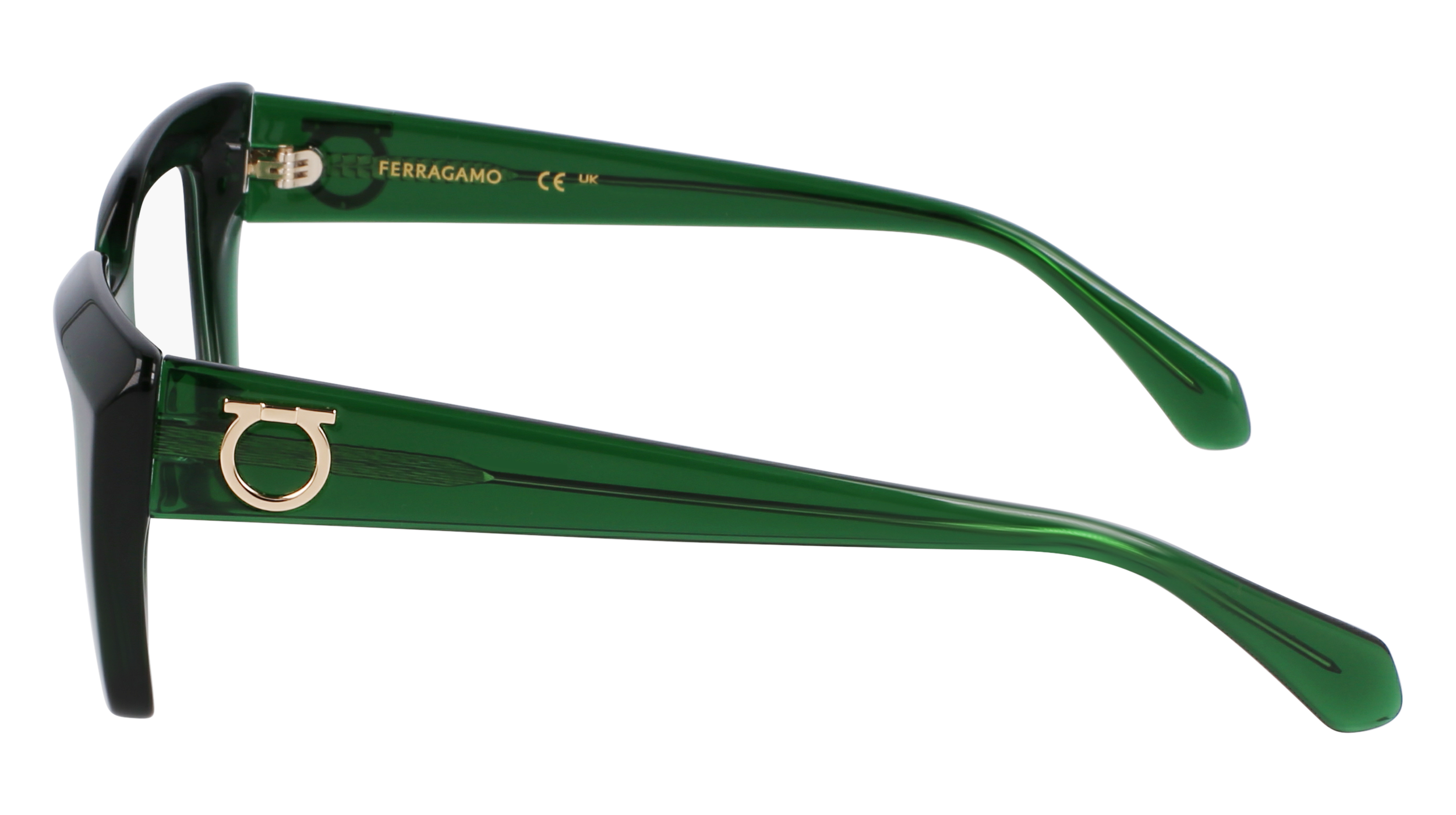 FERRAGAMO Eyeglasses SF3008 317 50