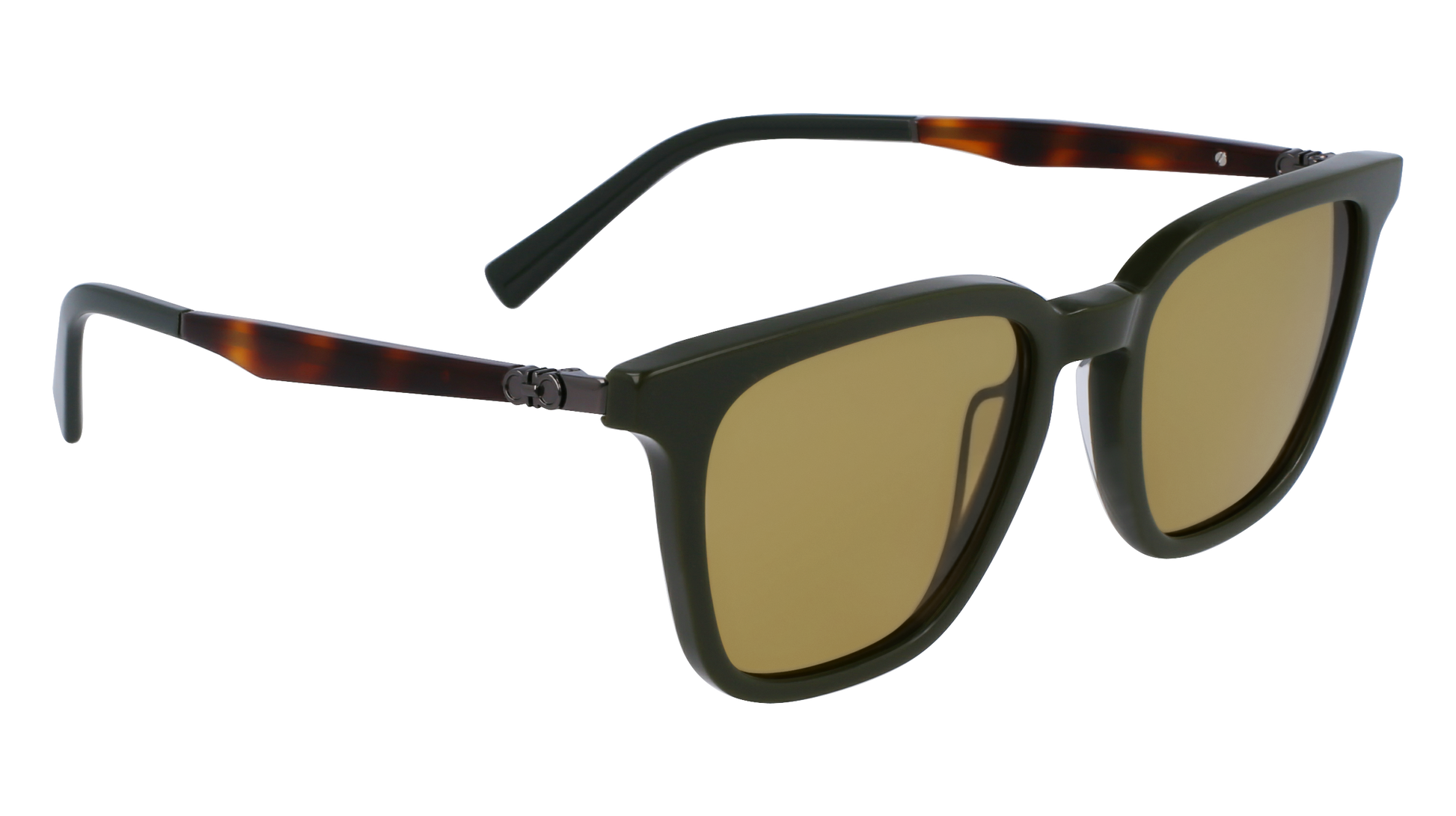 FERRAGAMO Sunglasses SF1100S 302 52