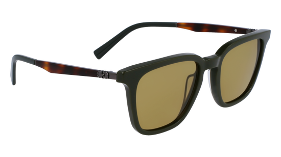 FERRAGAMO Sunglasses SF1100S 302 52