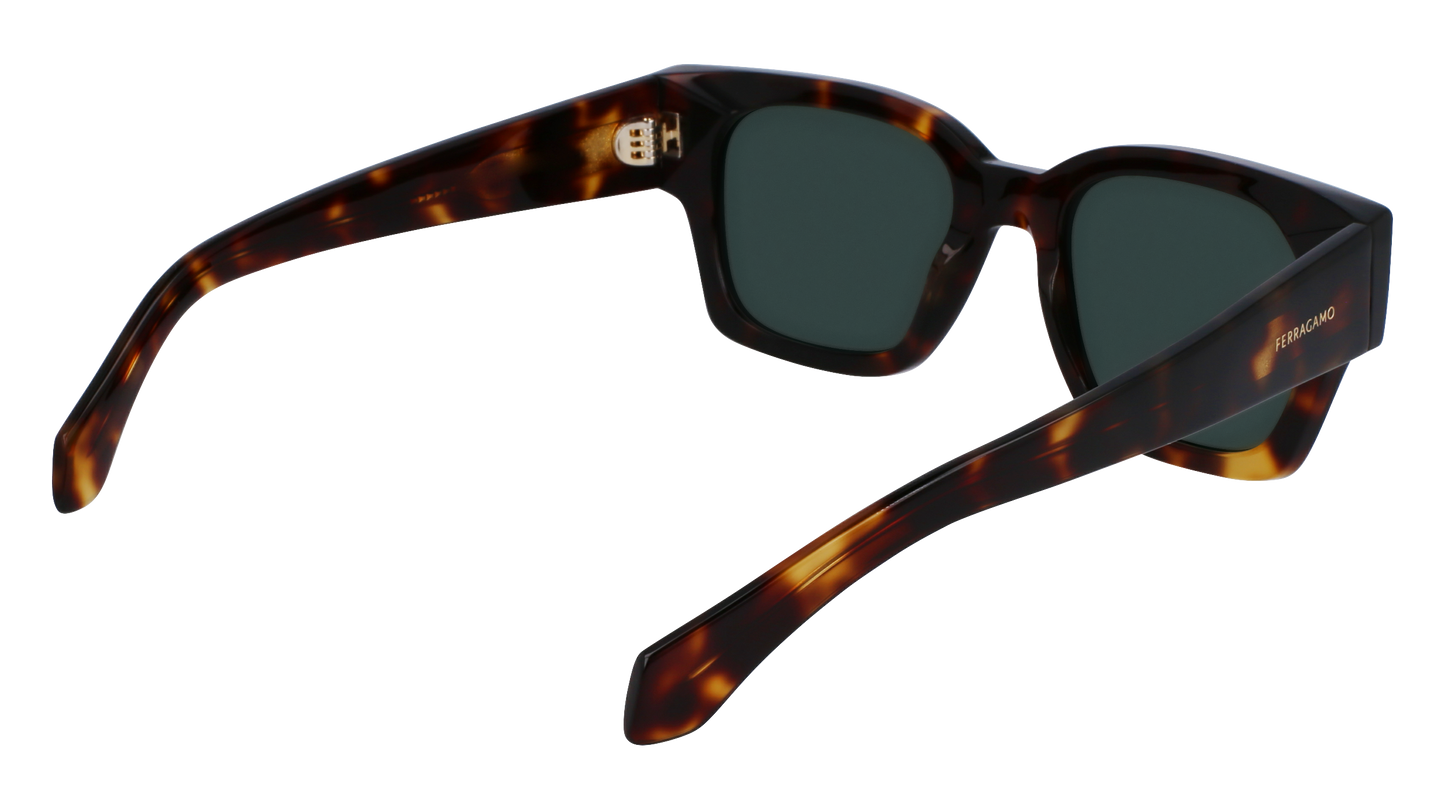 FERRAGAMO Sunglasses SF2010S 242 52