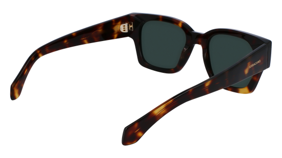 FERRAGAMO Sunglasses SF2010S 242 52