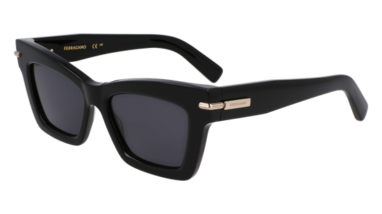 FERRAGAMO Sunglasses SF2031S 1 52