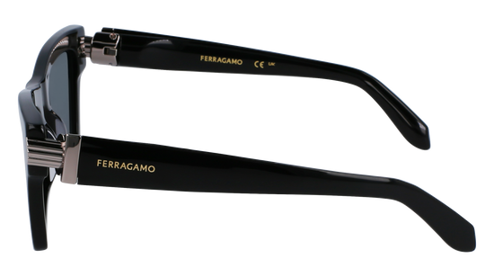 FERRAGAMO Sunglasses SF2013S 1 52