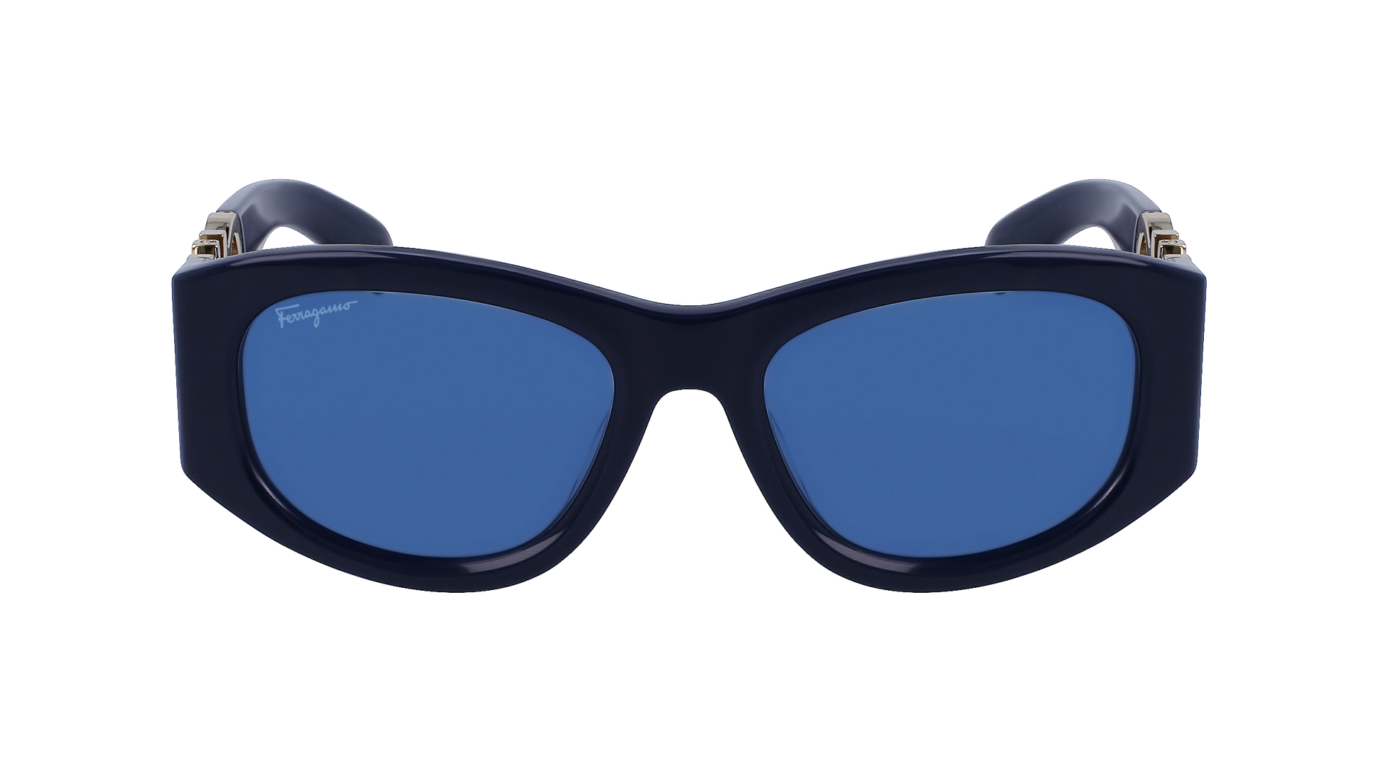 FERRAGAMO Sunglasses SF1082S 414 53