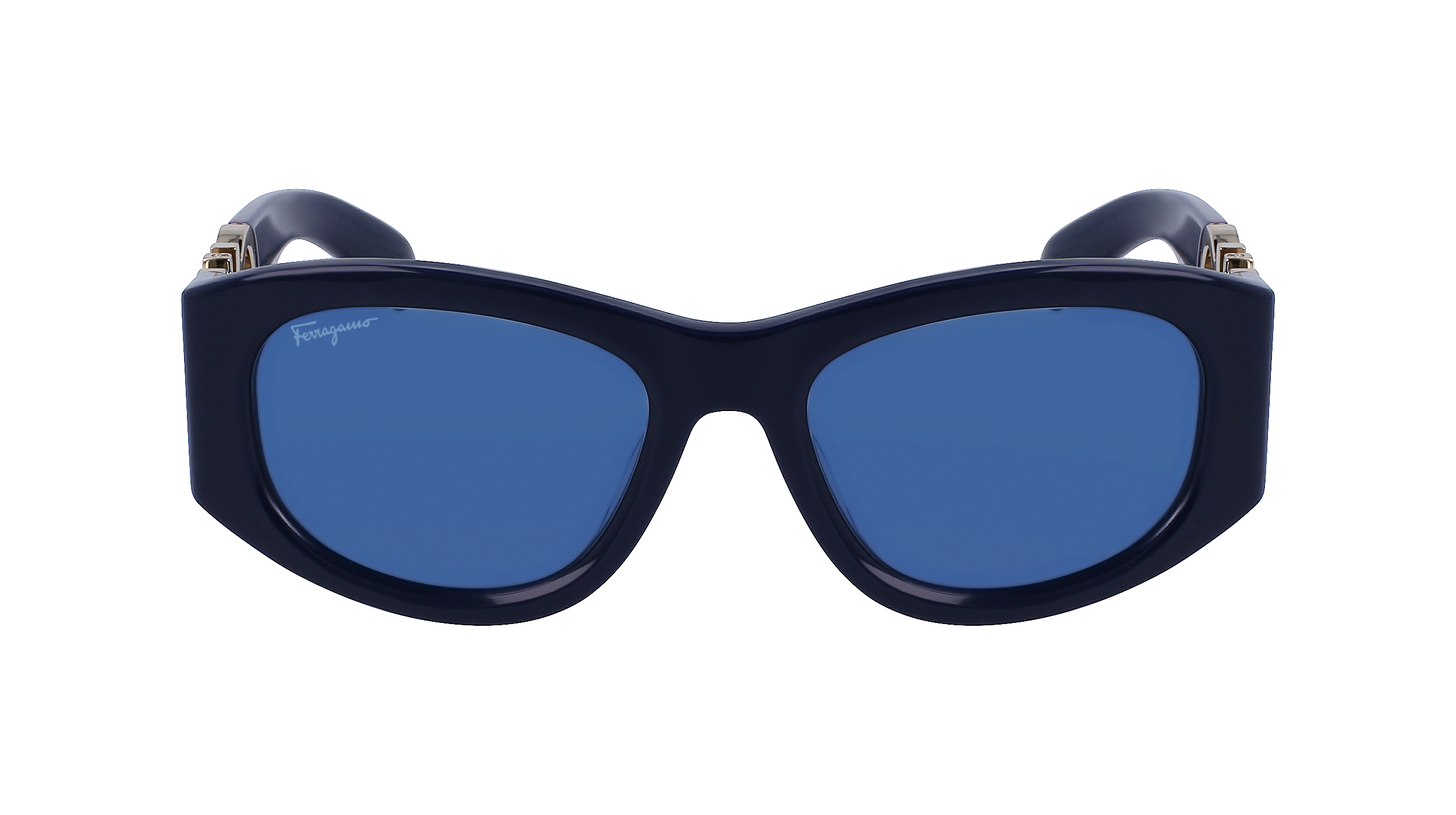 FERRAGAMO Sunglasses SF1082S 414 53