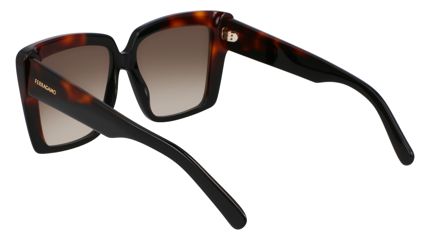 FERRAGAMO Sunglasses SF1060SN 6 55