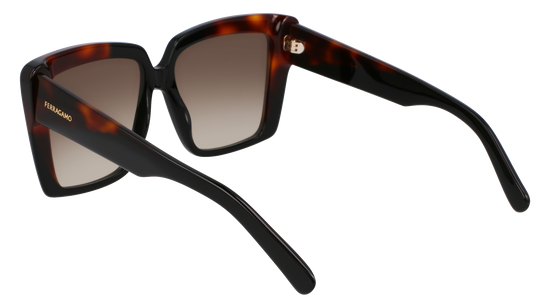 FERRAGAMO Sunglasses SF1060SN 6 55