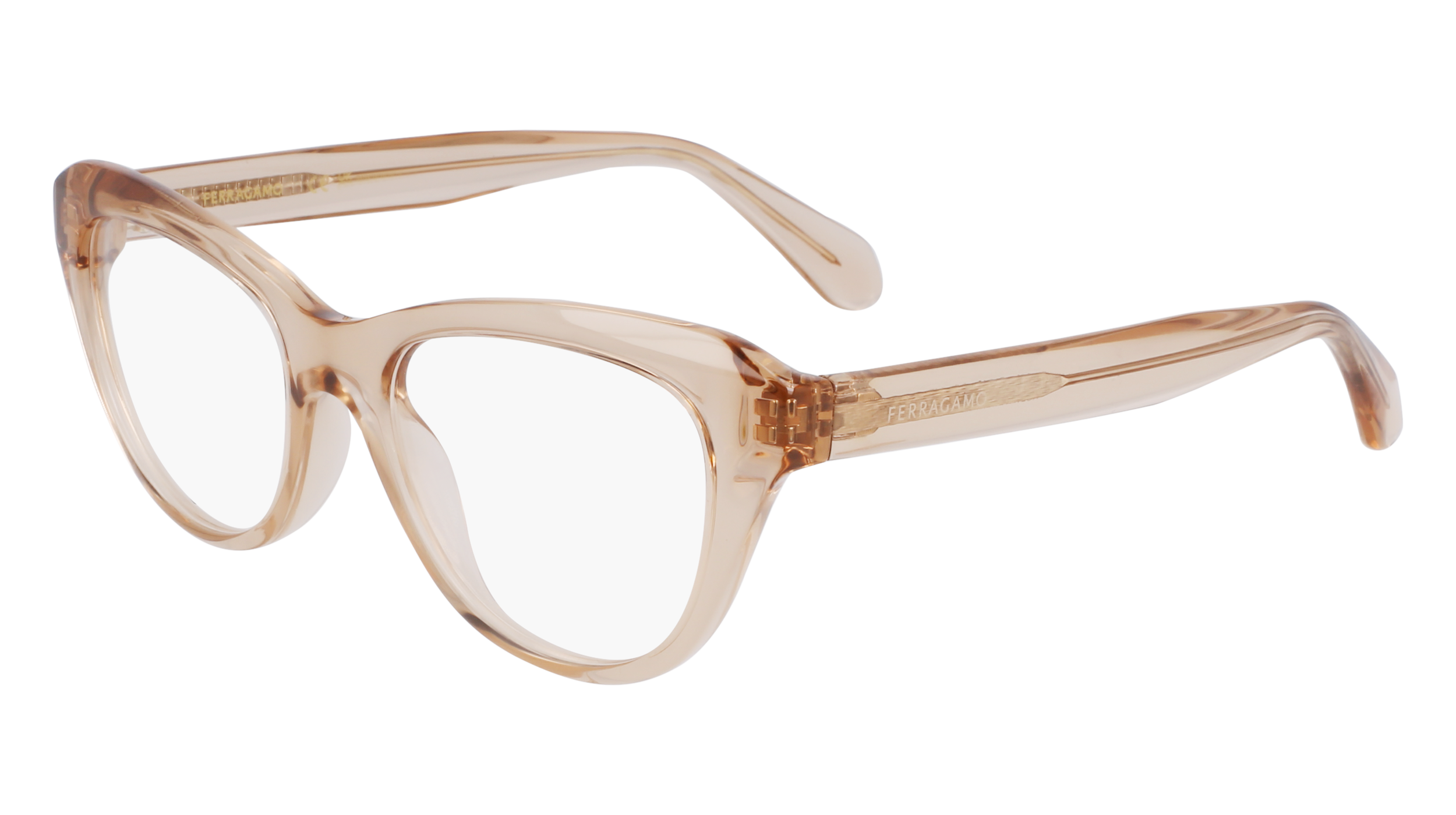 FERRAGAMO Eyeglasses SF2989E 259 51