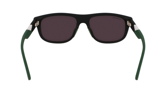 LACOSTE Sunglasses L6042S 2 55