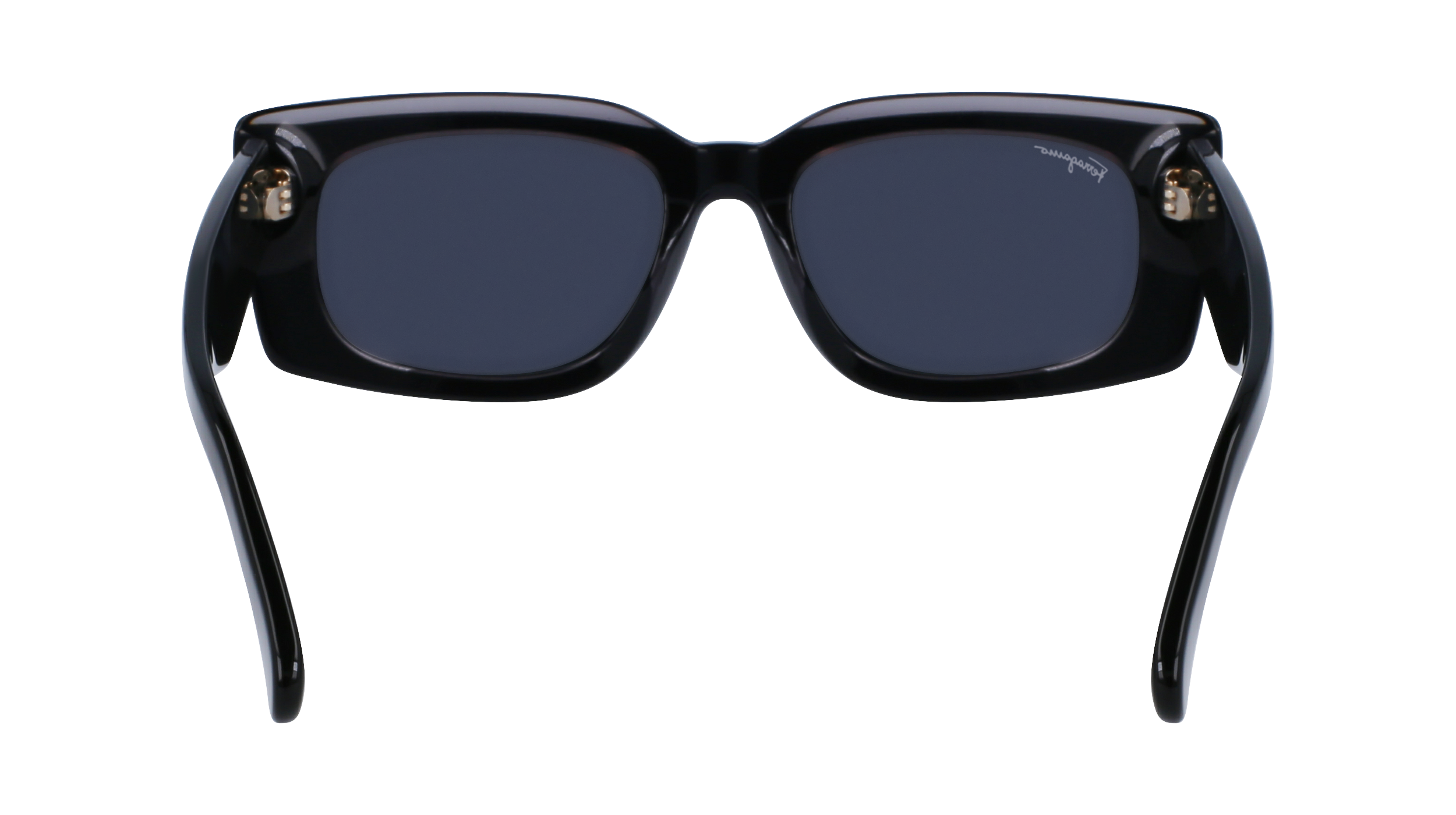 FERRAGAMO Sunglasses SF1079S 22 54