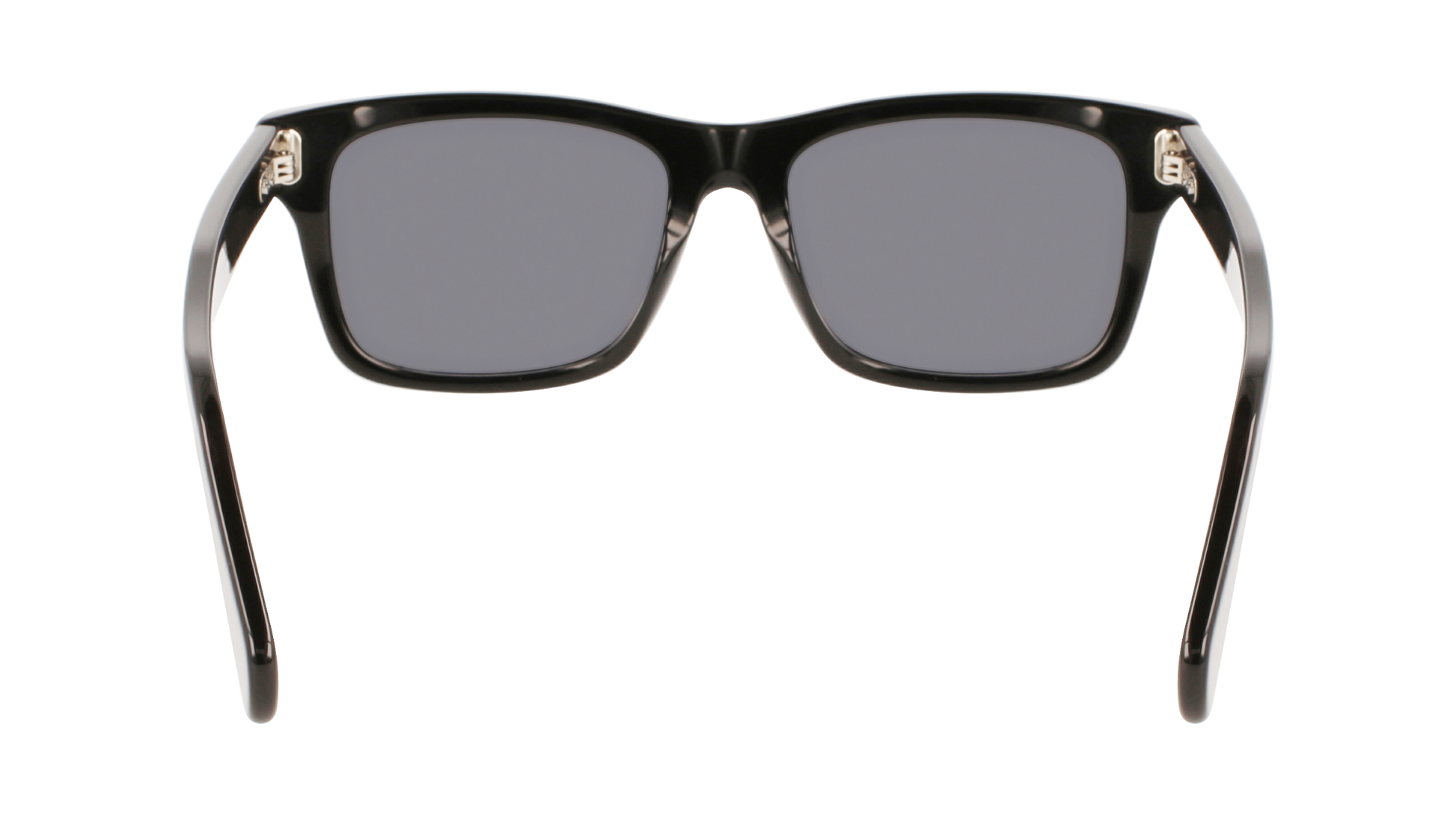 FERRAGAMO Sunglasses SF1039S 1 54