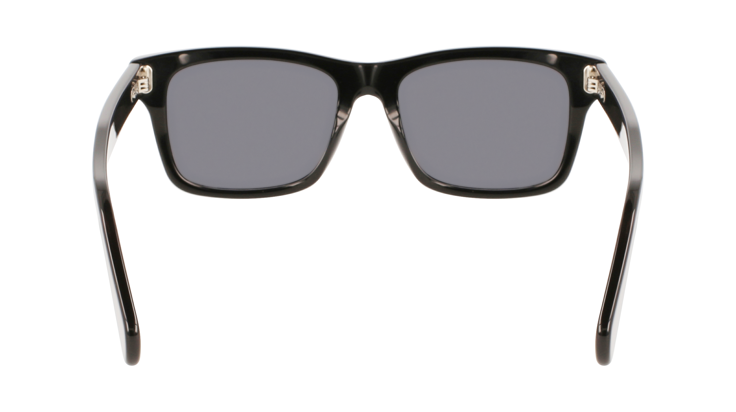 FERRAGAMO Sunglasses SF1039S 1 54