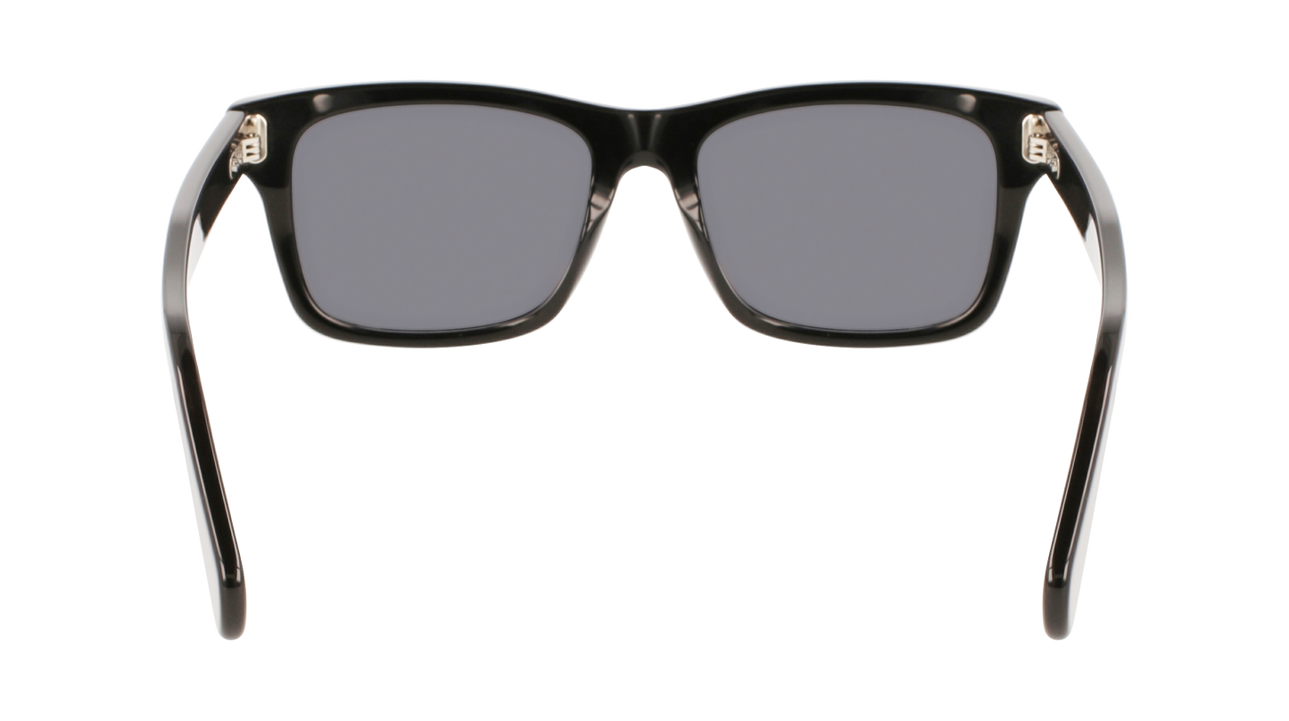 FERRAGAMO Sunglasses SF1039S 1 54