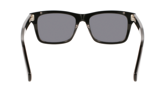 FERRAGAMO Sunglasses SF1039S 1 54