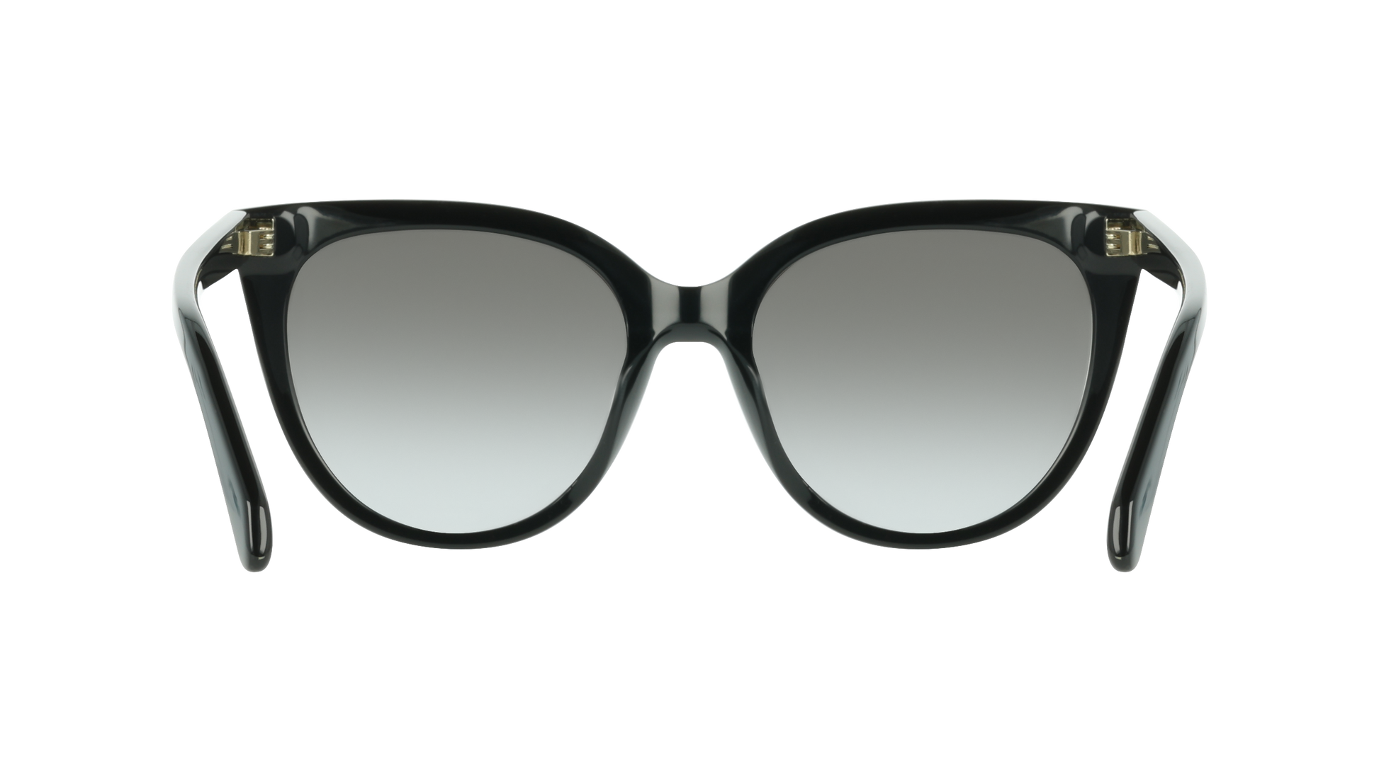 Ferragamo SF2101S 1