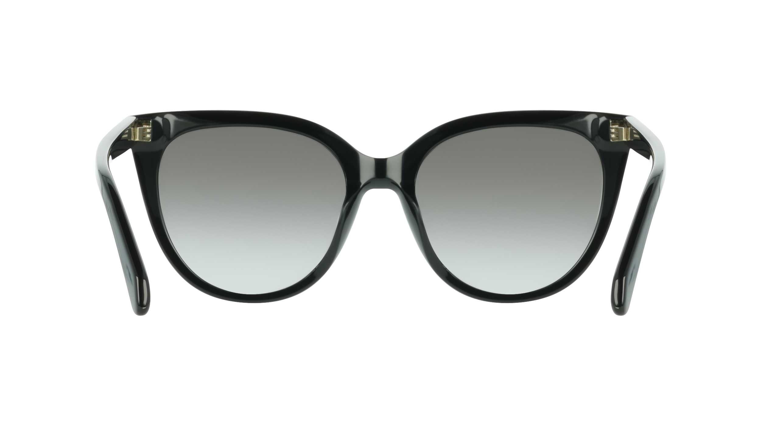 Ferragamo SF2101S 1