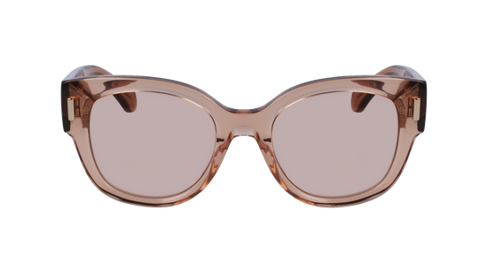 FERRAGAMO Sunglasses SF2007S 260 51