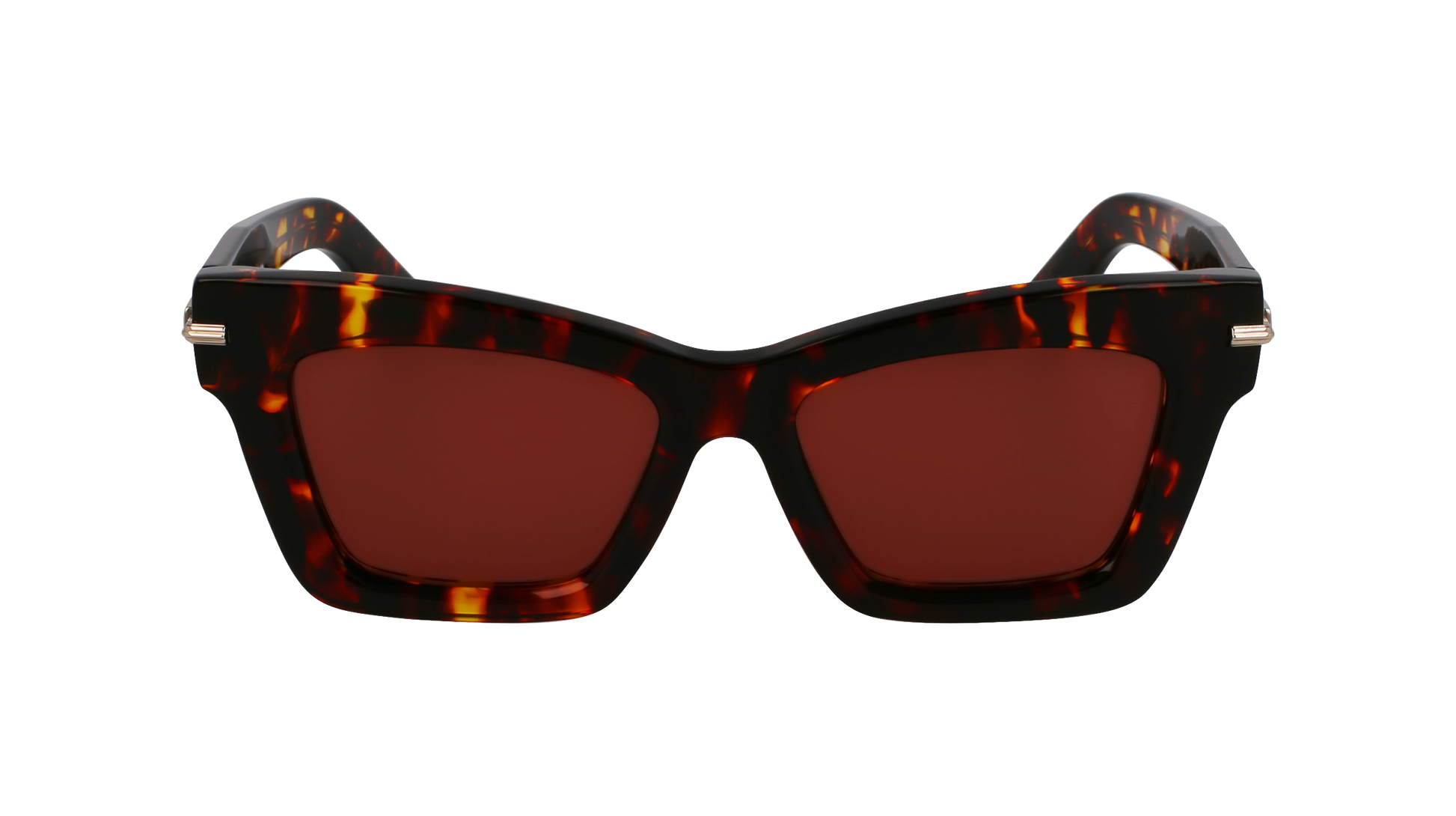 FERRAGAMO Sunglasses SF2031S 242 52