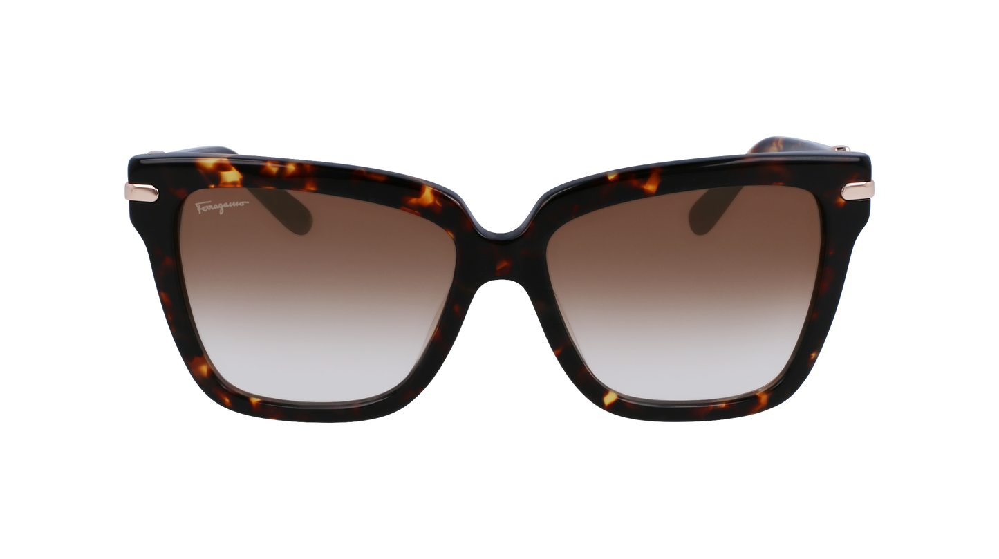 FERRAGAMO Sunglasses SF1085S 219 57