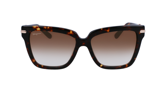 FERRAGAMO Sunglasses SF1085S 219 57