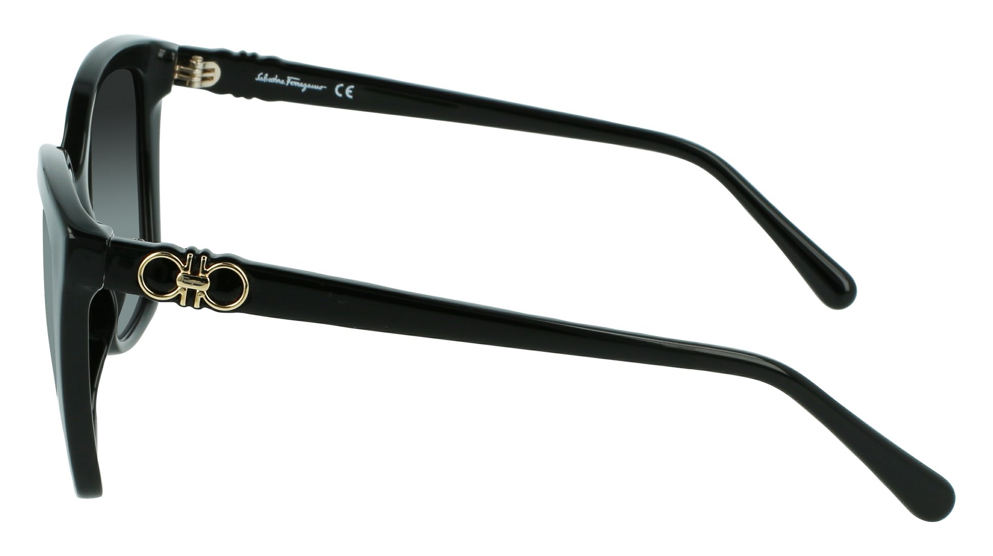 FERRAGAMO Sunglasses SF1026S 1 54