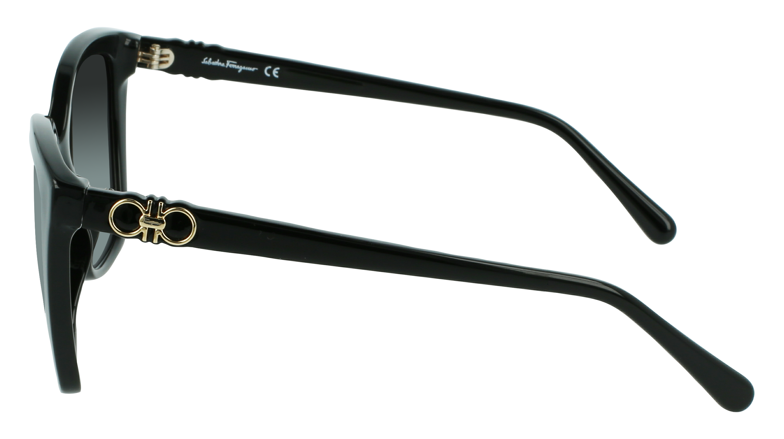 FERRAGAMO Sunglasses SF1026S 1 54