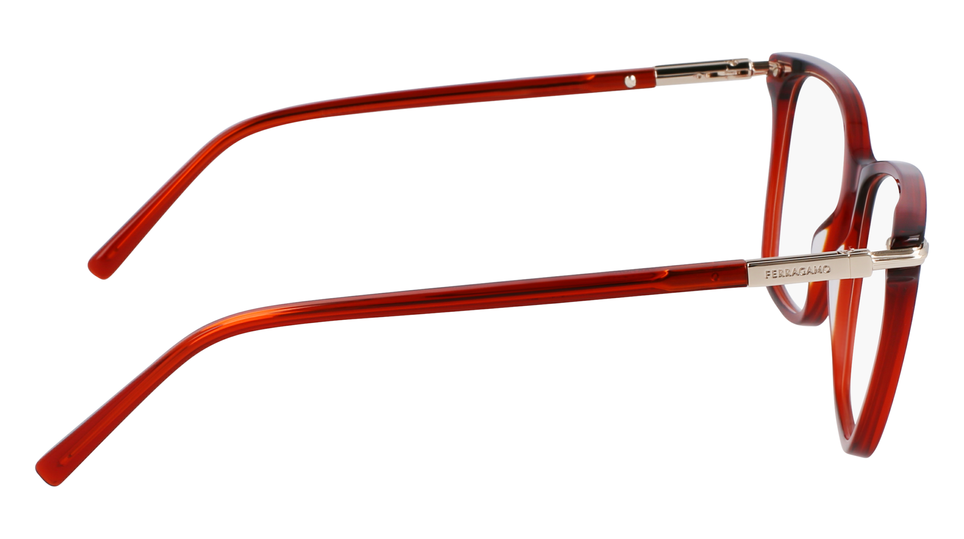 FERRAGAMO Eyeglasses SF3013 616 53