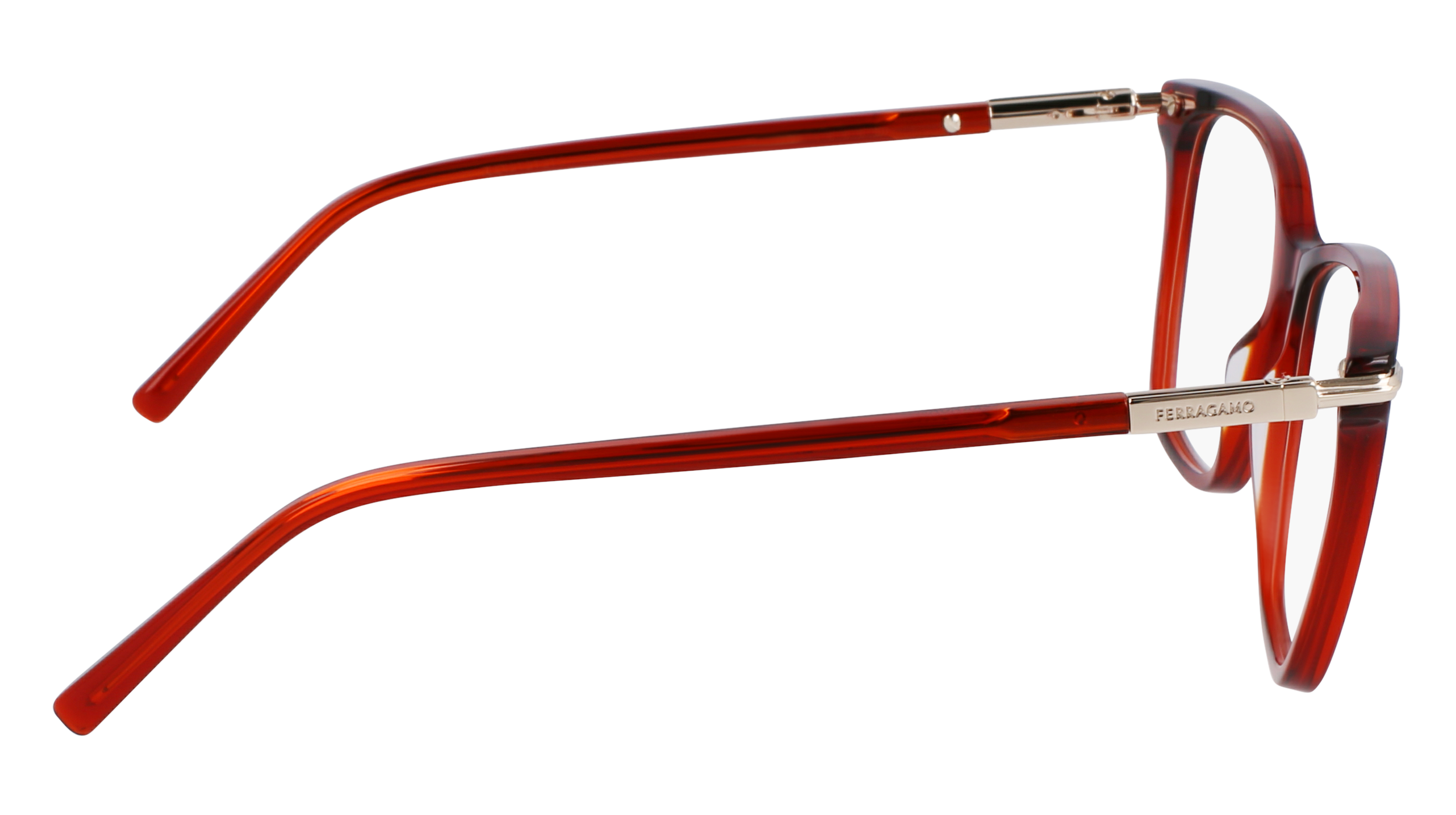 FERRAGAMO Eyeglasses SF3013 616 53