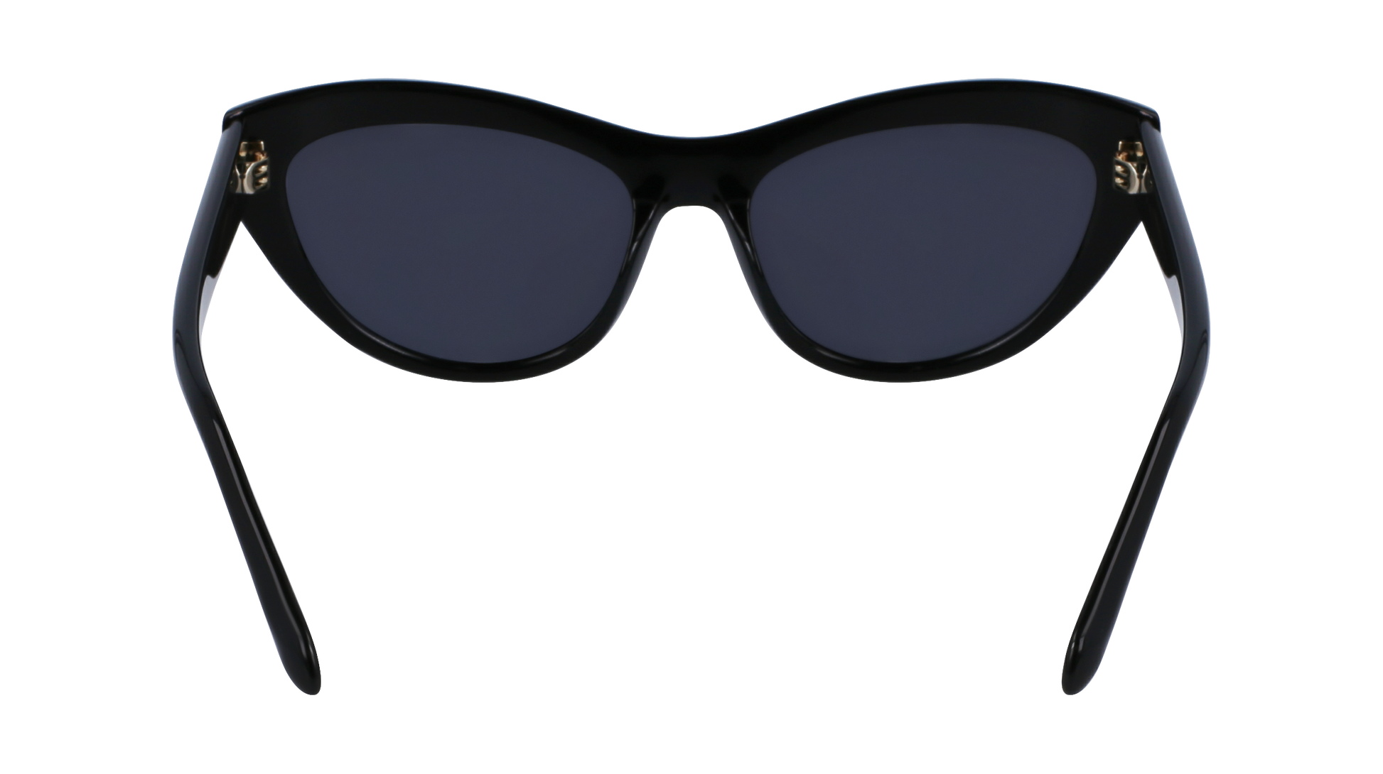 FERRAGAMO Sunglasses SF1103S 1 55