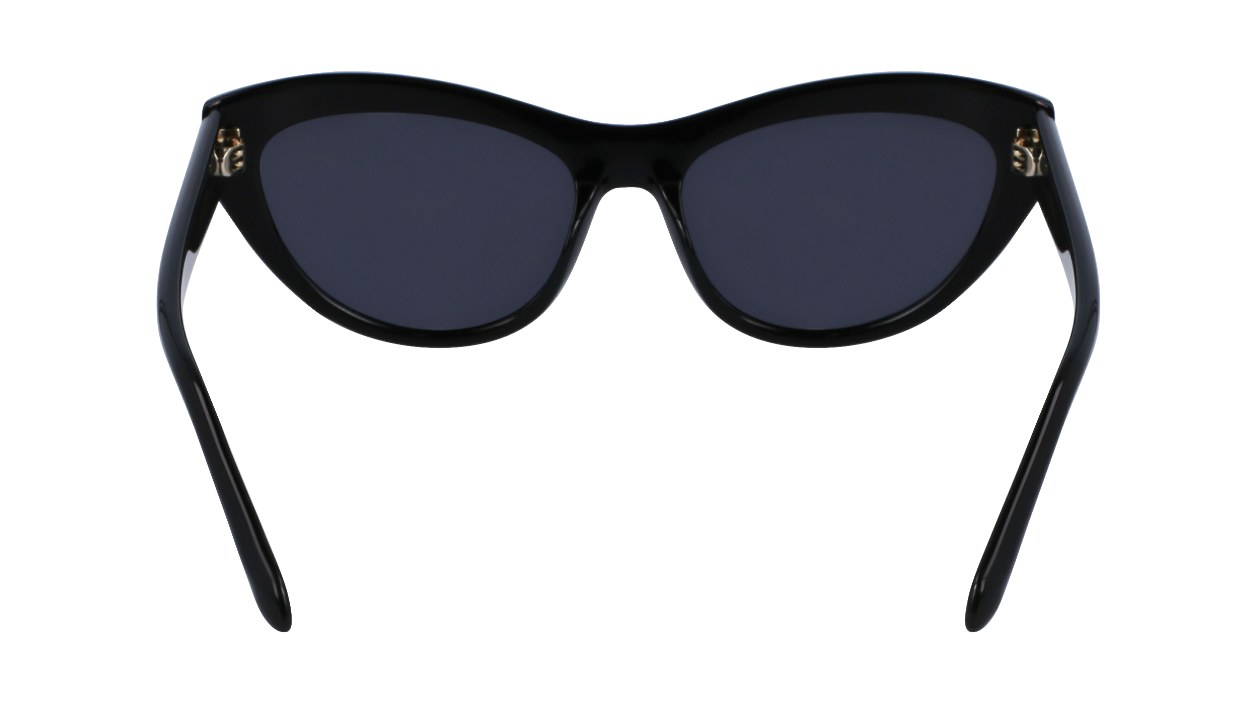 FERRAGAMO Sunglasses SF1103S 1 55